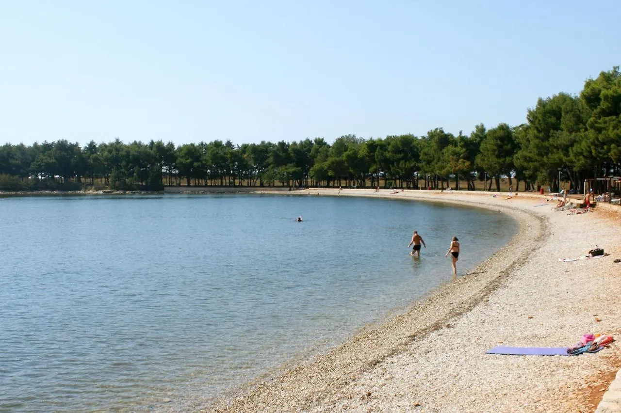 Studio Novigrad 2536B 0*, Novigrad (Istria)