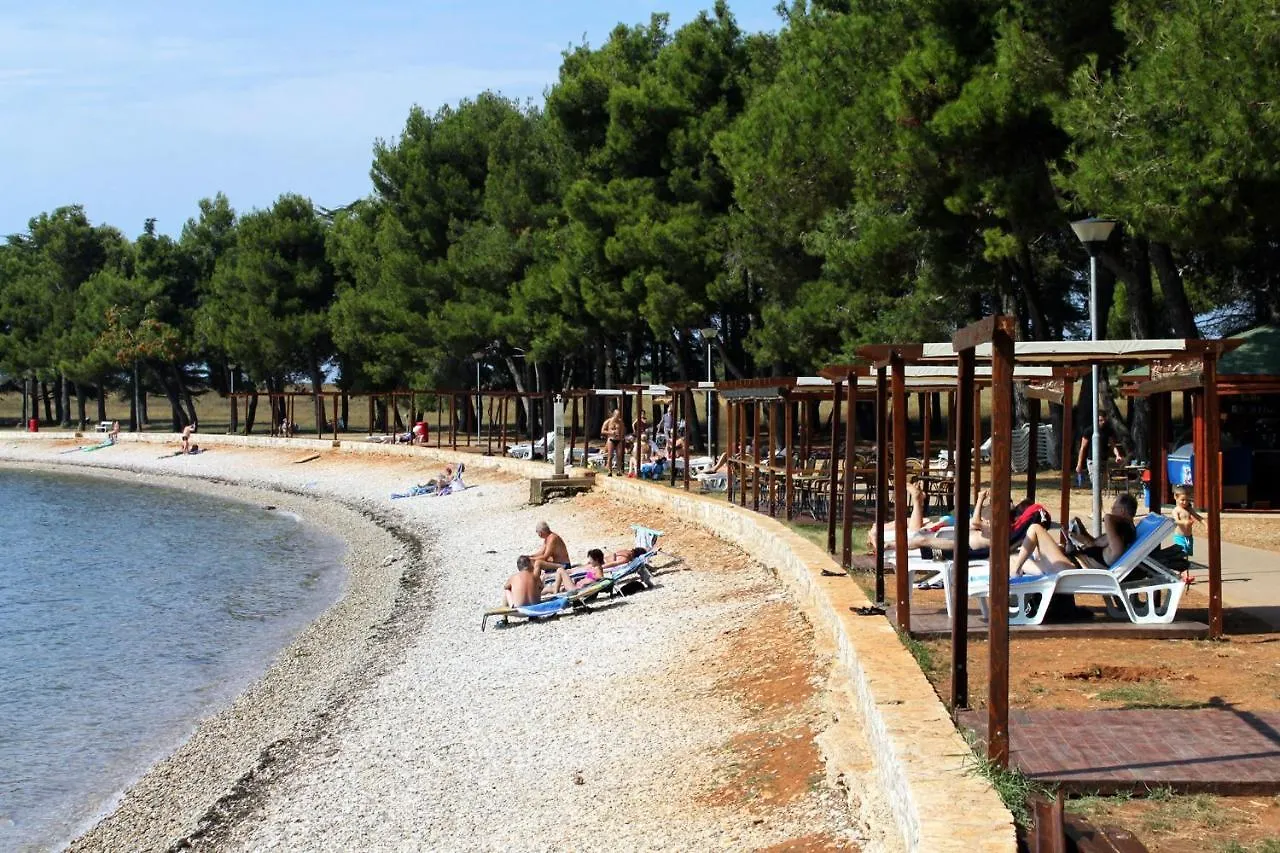 Studio Novigrad 2536B 0*, Novigrad (Istria)