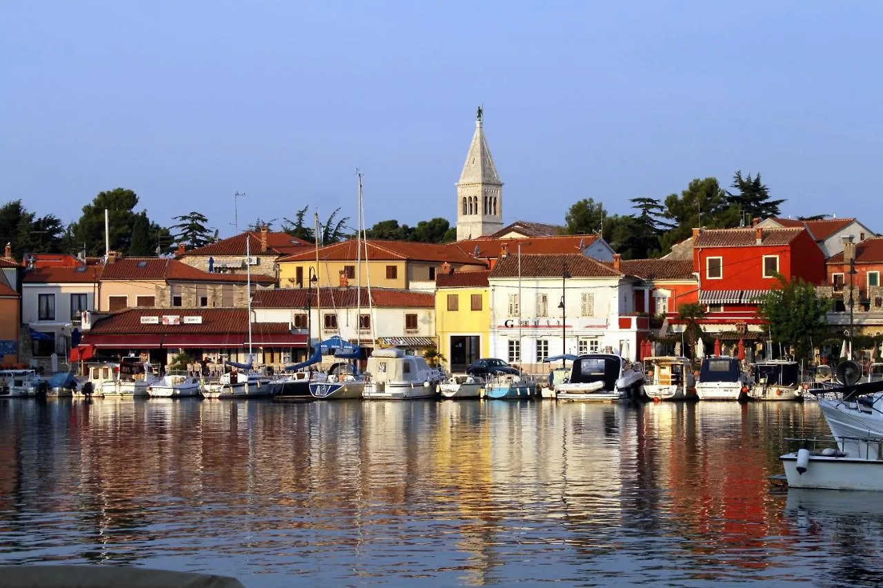 Apartment Studio Novigrad 2536B